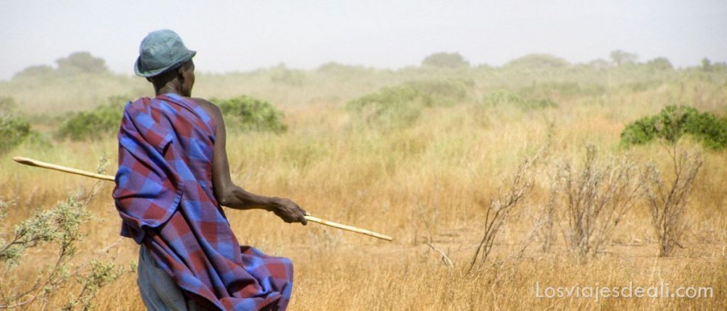 La Tribu Dasanech: Un Encuentro Impactante en los Confines de Etiopía 13 dasanech etiopia