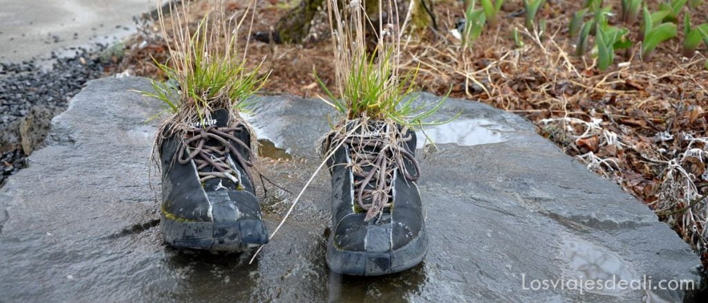Cultura islandesa y paseo por el hielo 3 cultura en islandia