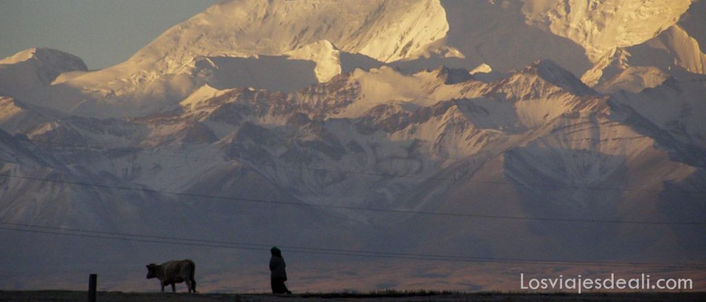Campo Base del Pico Lenin, el corazón de Kirguistán 14 Pico Lenin en kirguizstan