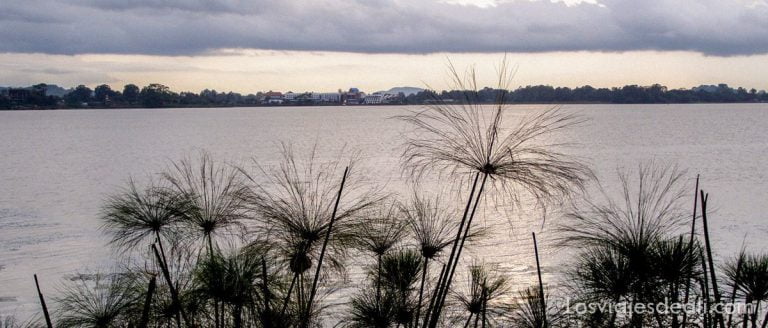 Lago Tana, donde nace el Nilo Azul 5 lago tana