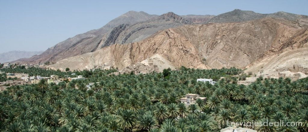 Oasis de Oman