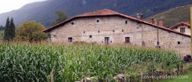 El Parque Natural Saja Besaya y el Valle de Cabuérniga, la Cantabria más bonita 6 cabuérniga