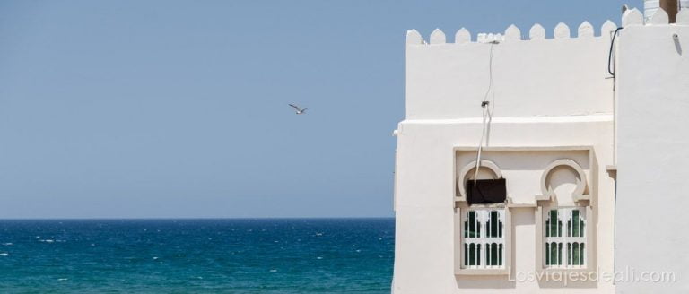 Ruta entre Muscat y la Reserva de Tortugas Ras al-Hadd, con visita a Sur, la ciudad de Simbad el Marino (Omán) 17 Sur Oman