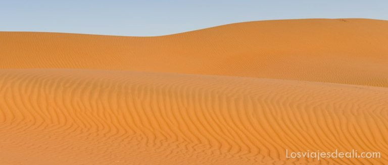 Wahiba Sands, una noche en el desierto más accesible de Omán 15 Wahiba sands
