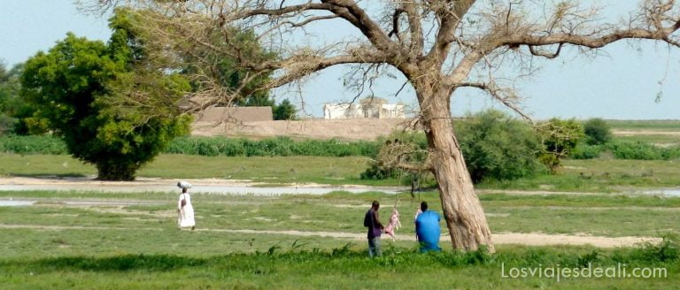 Consejos prácticos para viajar a Camerún 1 Camerun consejos viaje