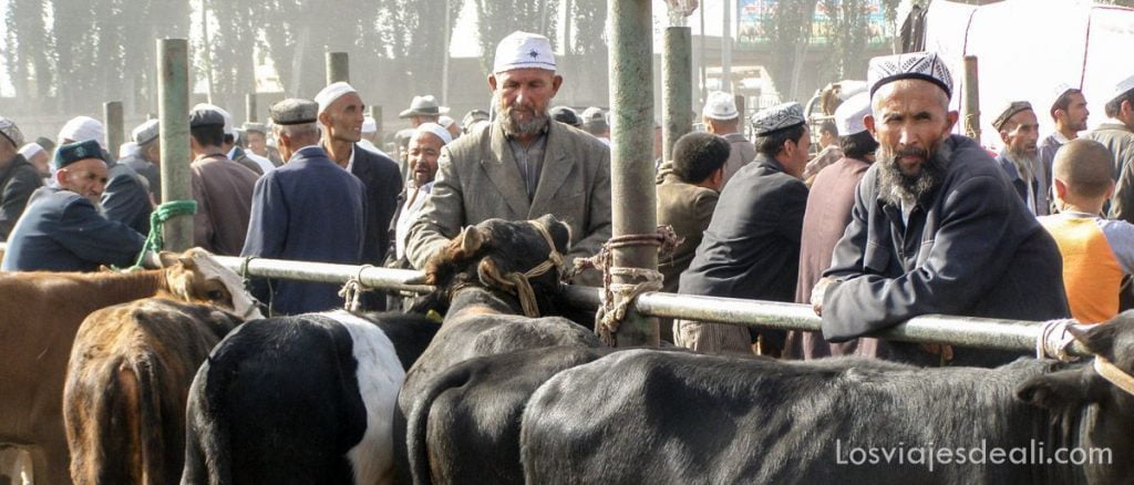 Mercado de Kashgar, otro mundo 13 mercado de kashgar