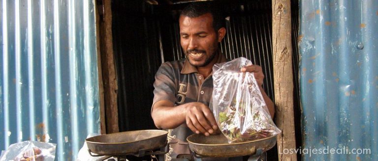 La sesión de chat (catha edulis) 11 sesion chat etiopia