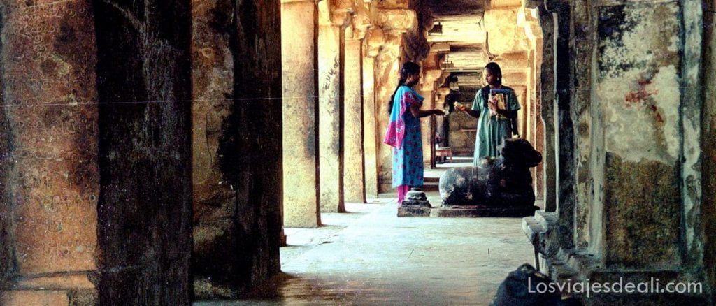 Sur de India: de Tamil Nadu a Kerala 20 Tamil Nadu