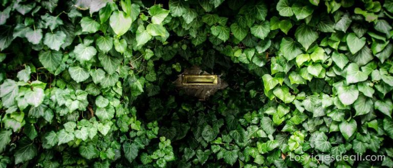 Szentendre: excursión desde Budapest 4 szentendre