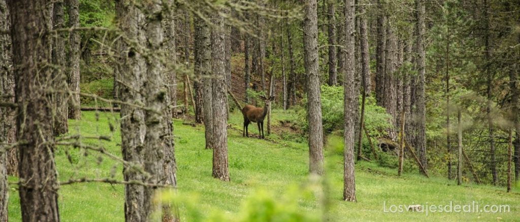 Qué ver en la provincia de Cuenca: esa gran desconocida 9 que ver en la provincia de cuenca