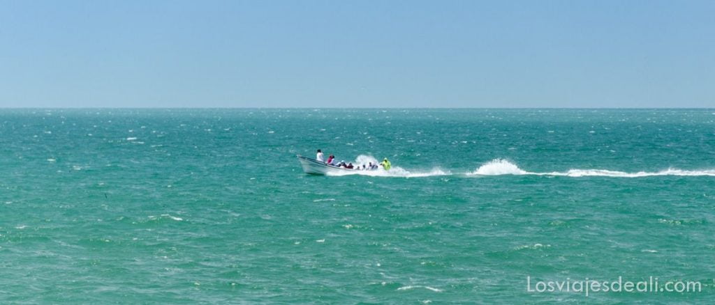 itinerarios para viajar en Omán