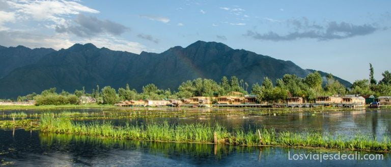 Srinagar y el Lago Dal: sueños y conflicto en el Valle de Cachemira 5 Srinagar