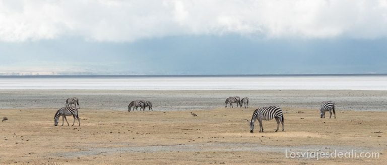 Imágenes y sensaciones de Kenia y Tanzania 8 imagenes y sensaciones de Kenia y Tanzania
