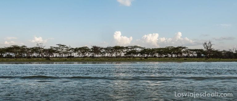 Lago Naivasha, un paisaje fantástico con aires de película de terror (Kenia) 3 Lago Naivasha