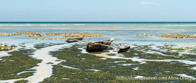 Playas de Zanzíbar, el broche final para unas vacaciones en África Oriental 1 playas de zanzíbar kizimkazi