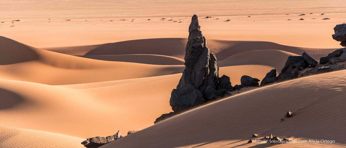 Imágenes y sensaciones de un viaje a Argelia: el Sahara profundo