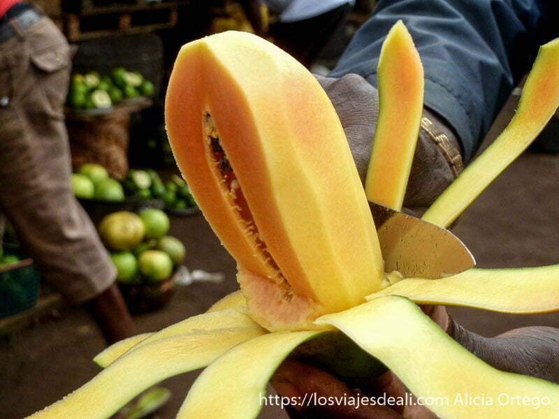 País Bamileké, Camerún 10 papaya país bamileké