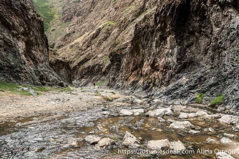 cañón de paredes de roca juntas y el río en el centro en el desierto del gobi