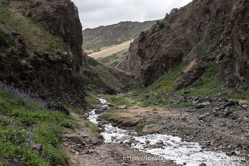 final del cañón de yol am con más espacio entre rocas, hierba y flores, en el desierto del gobi