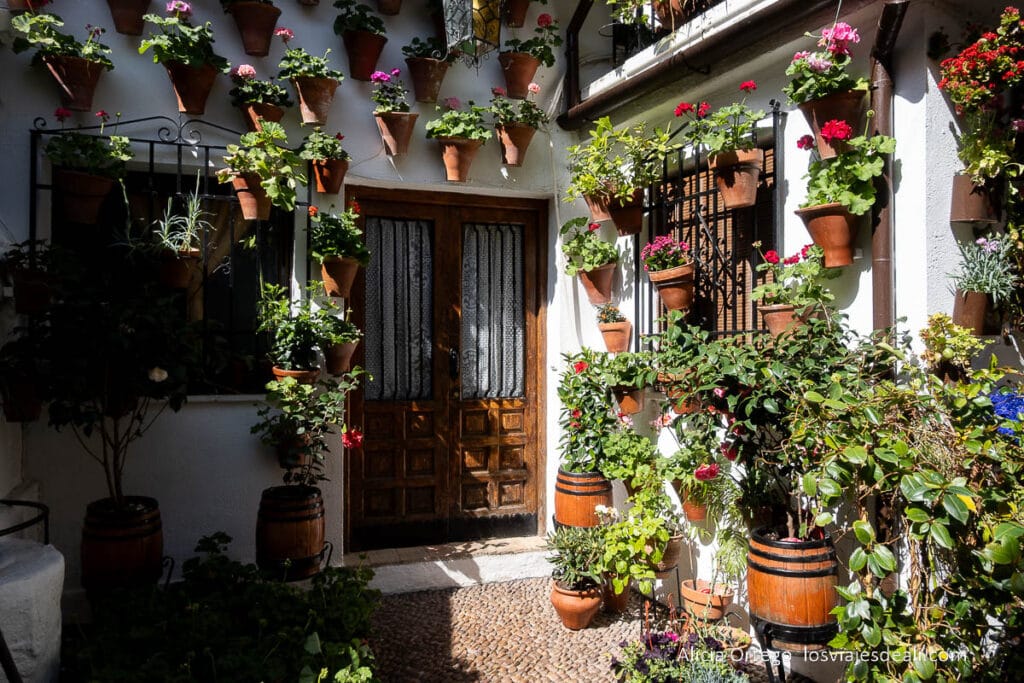 interior de un patio de córdoba