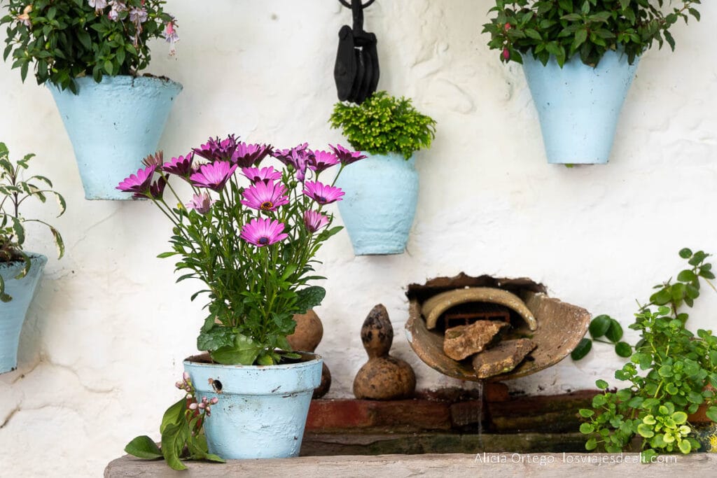 rincón de uno de los patios de córdoba