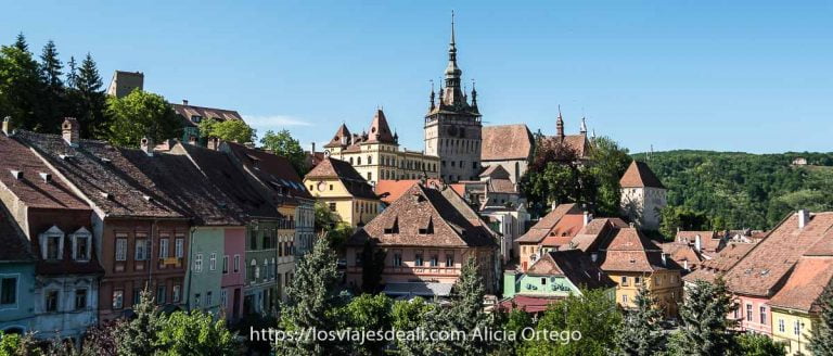 vista de las casas de sighisoara con tejados puntiagudos y árboles y la torre en el centro rumanía