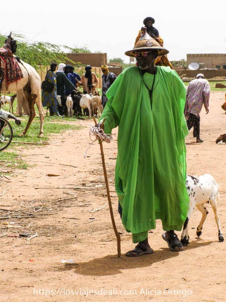 Mi primer mercado africano en el Sahel de Burkina Faso: Gorom Gorom 63 hombre peul con traje de color verde pistacho, gorro cónico y gafas de sol de espejo tirando de una cabra en el mercado africano de gorom gorom