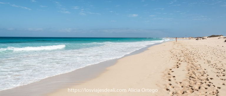 playa kilométrica con mar color turquesa en Fuerteventura