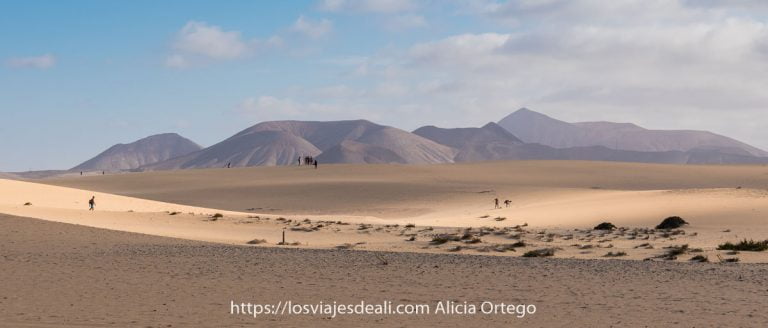 paisaje de dunas de corralejo con volcanes al fondo