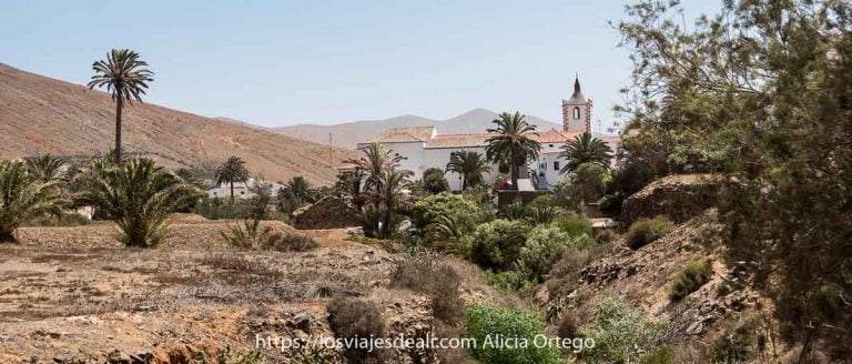 valle de betancuria con iglesia blanca y palmeras alrededor