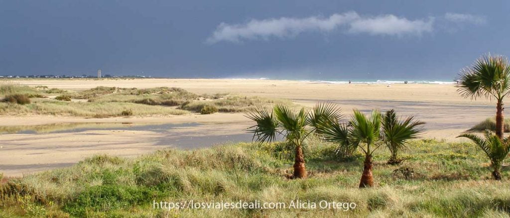 Lugares que te dejan con la boca abierta en España 5 lugares que te dejan con la boca abierta en españa playa de conil
