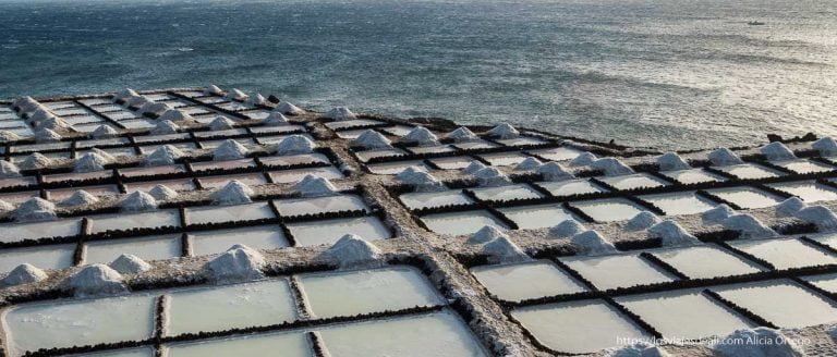 Salinas de Fuencaliente (La Palma): Guía de Visita, Atardecer y Restaurante Jardín de la Sal 9 salinas de fuencaliente junto al mar