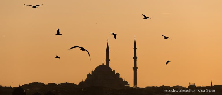puesta de sol en estambul con silueta de mezquita con dos minaretes y gaviotas volando