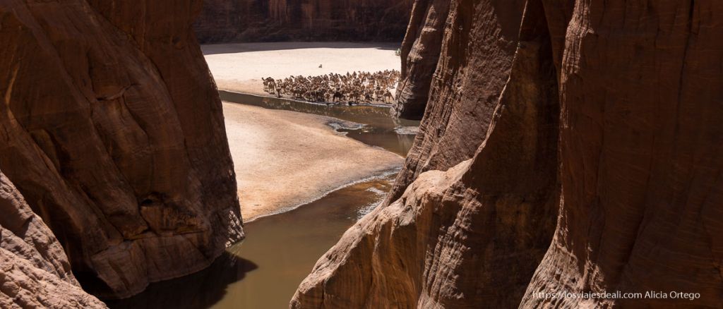 Guelta d'Archei, el lugar por el que querrás ir al desierto de Ennedi (Chad) 10 guelta d'archei