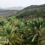 libros de viaje maravillosos paisaje de omán con palmeras y montañas