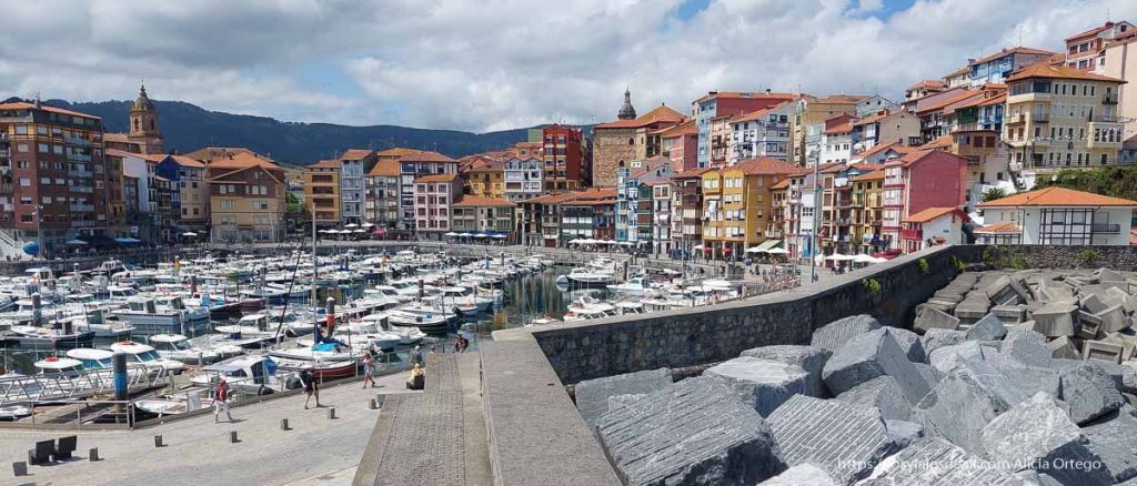 puerto de Bermeo, Vizcaya