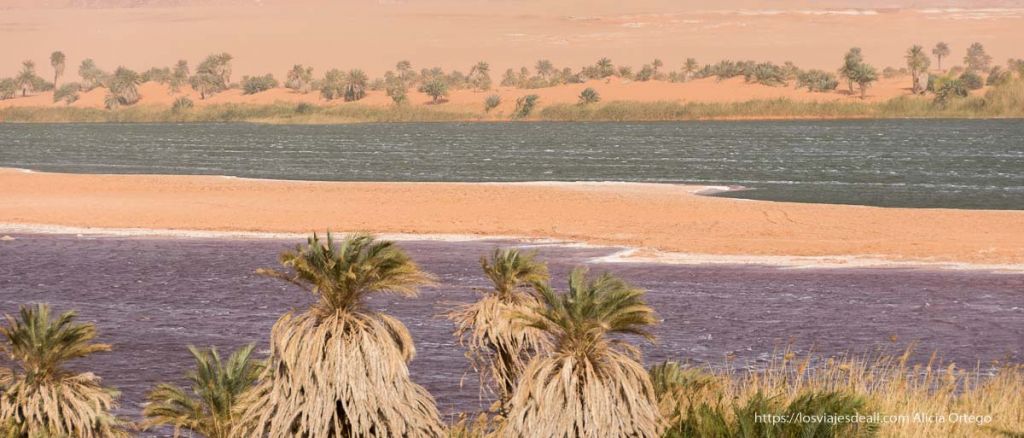 Lagos de Unianga, un lugar remoto en el remoto Chad 7 lagos de unianga con agua en dos colores