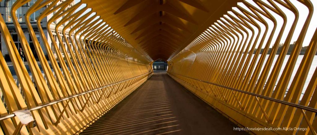 5+1 libros para entender el mundo o una parte de él ¡Fantásticos! 18 libros para entender el mundo