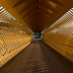 libros para entender el mundo