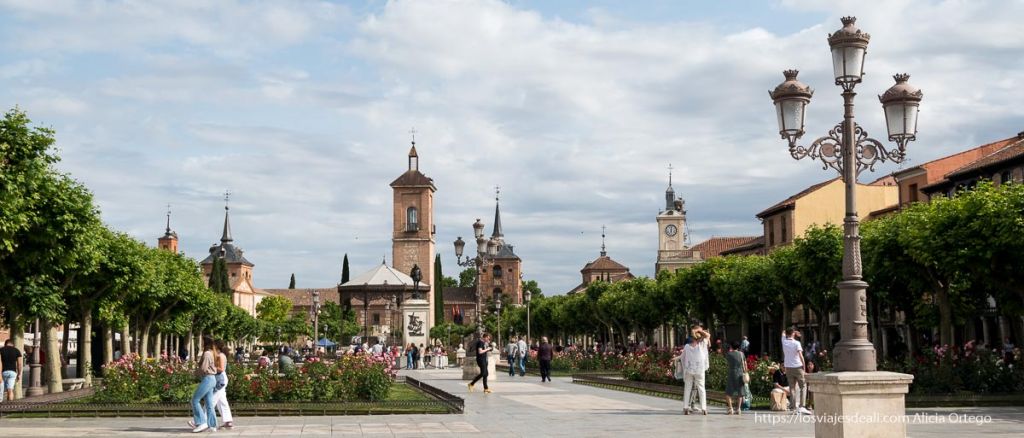 Qué ver en Alcalá de Henares y consejos prácticos para tu visita 4 que ver en alcala de henares: plaza de cervantes