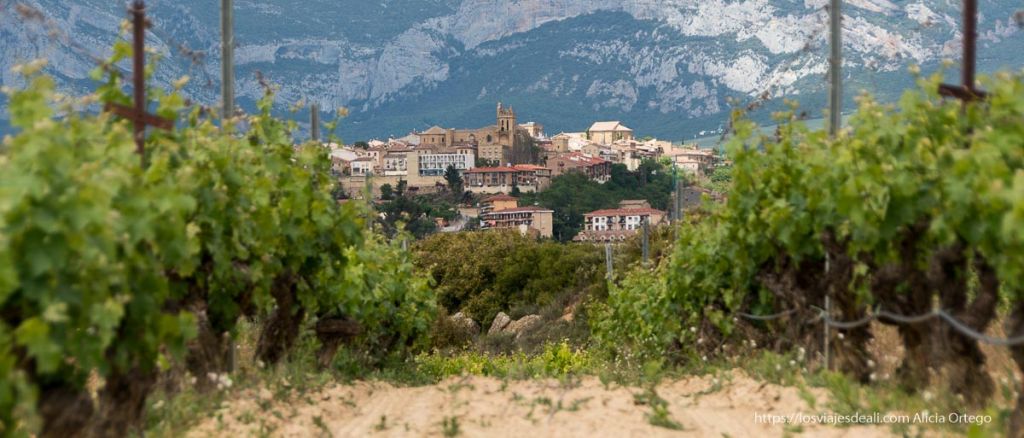 Rioja Alavesa: pueblos, bodegas y mapa para una escapada memorable 6 rioja alavesa laguardia entre viñedos