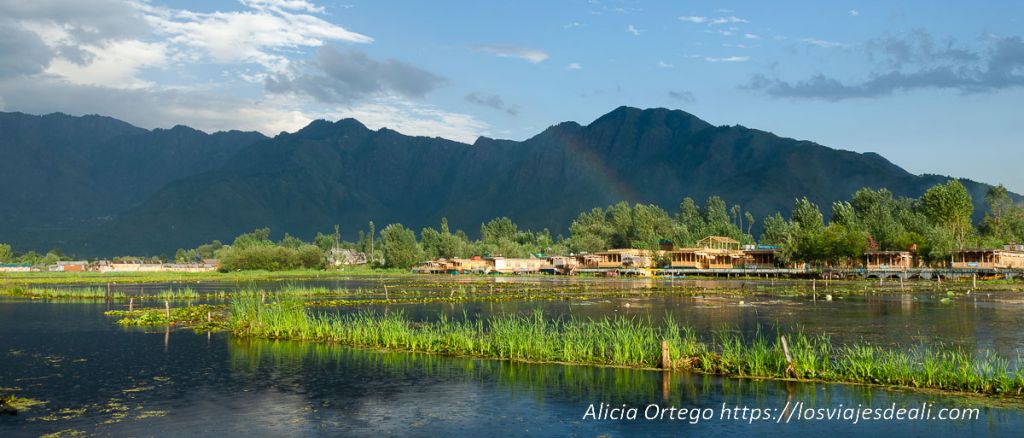 Lagos del mundo que me dejaron sin palabras 1 lagos del mundo: lago dal de srinagar