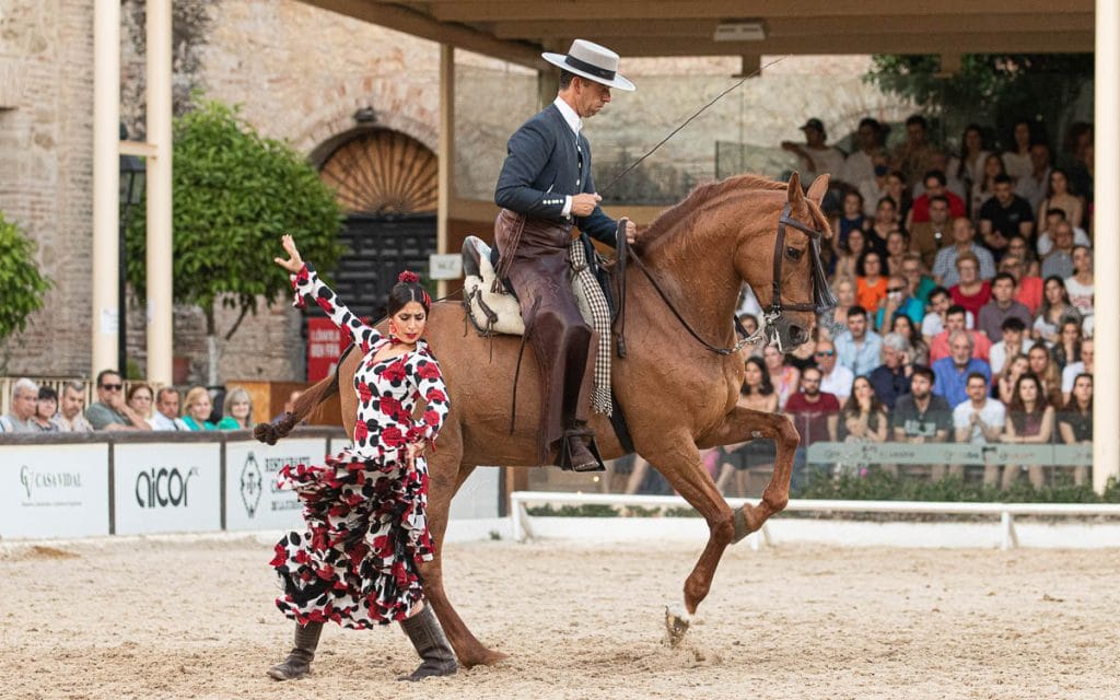 Qué ver en Córdoba en 3 o 4 días completos 49 cordoba ecuestre que ver en córdoba