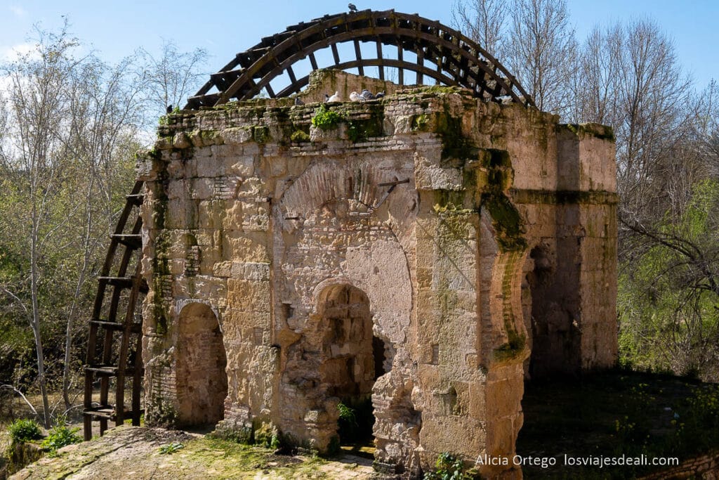 noria de la albulafia que ver en cordoba