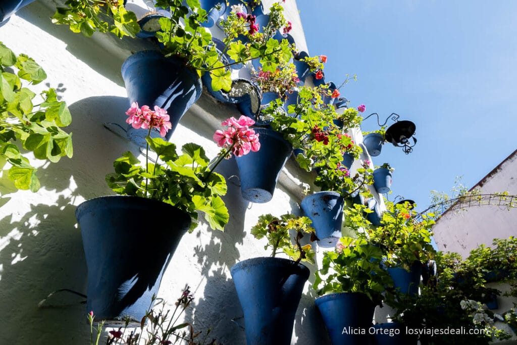 detalle de uno de los patios de san basilio
