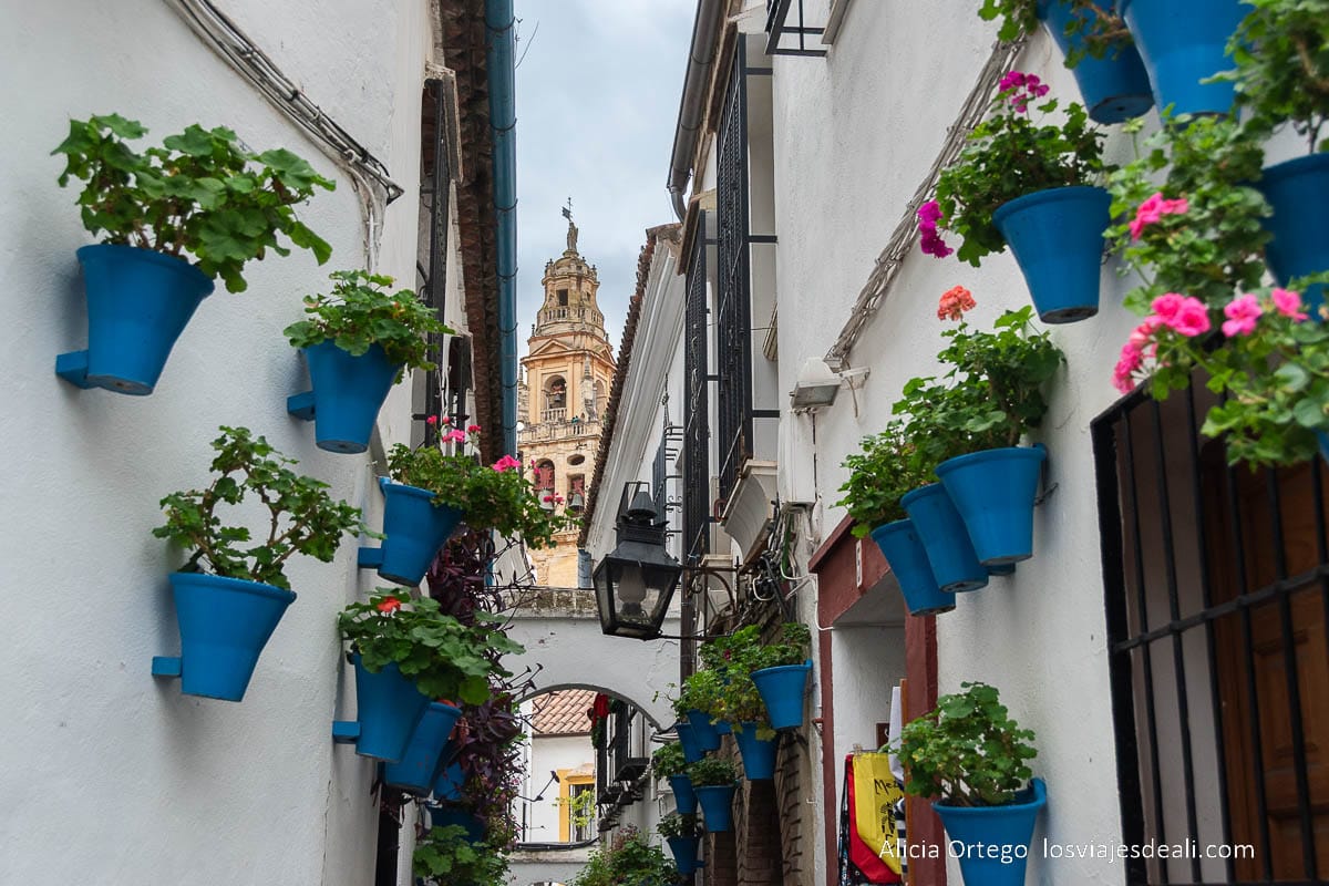 Qué ver en Córdoba en 3 o 4 días completos 47 calleja de las flores que ver en córdoba