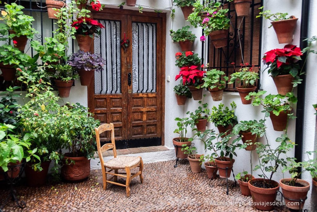 Qué ver en Córdoba en 3 o 4 días completos 51 patio de córdoba