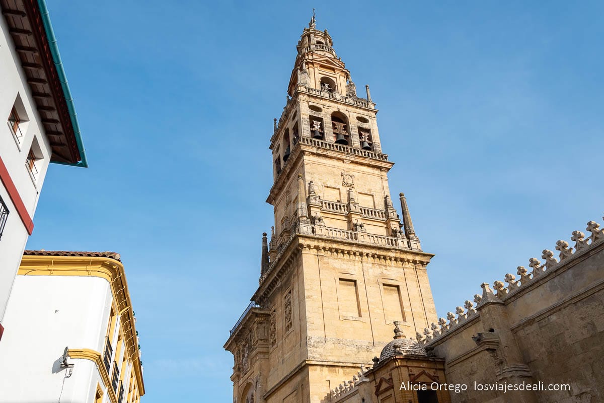 Qué ver en Córdoba en 3 o 4 días completos 43 torre de la catedral de córdoba