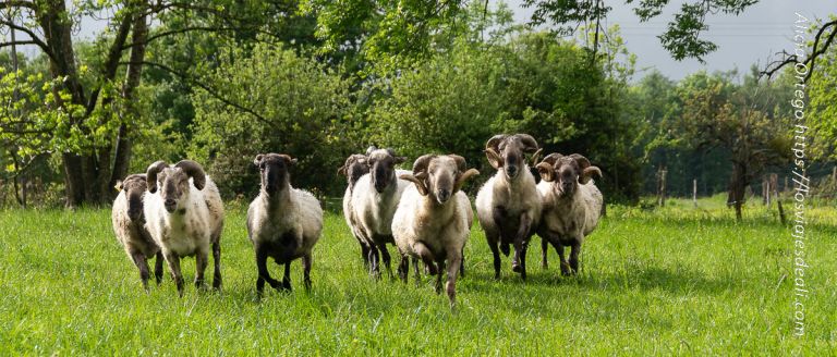 excursiones por el país vasco