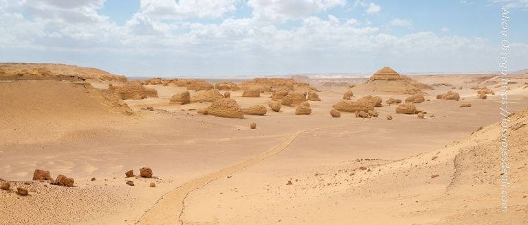 La fantasía arqueológica del Valle de las Ballenas: los fósiles de cetáceos más perfectos están en Egipto 10 valle de las ballenas o wadi al hitan